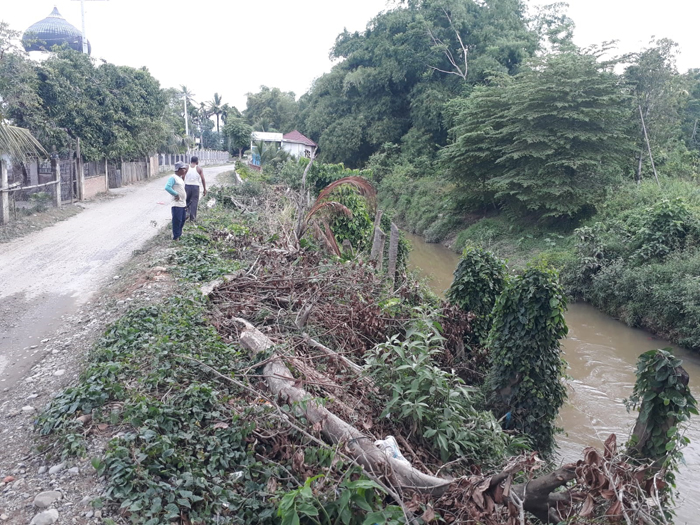 Erosi Sungai di Beuah Mengganas, Mengancam Areal Persawahan dan Rumah Warga