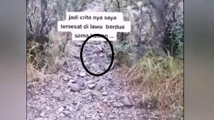 Kisah Pendaki Tersesat Berhasil Selamat Setelah Dituntun Burung Jalak, Ini Kata Relawan