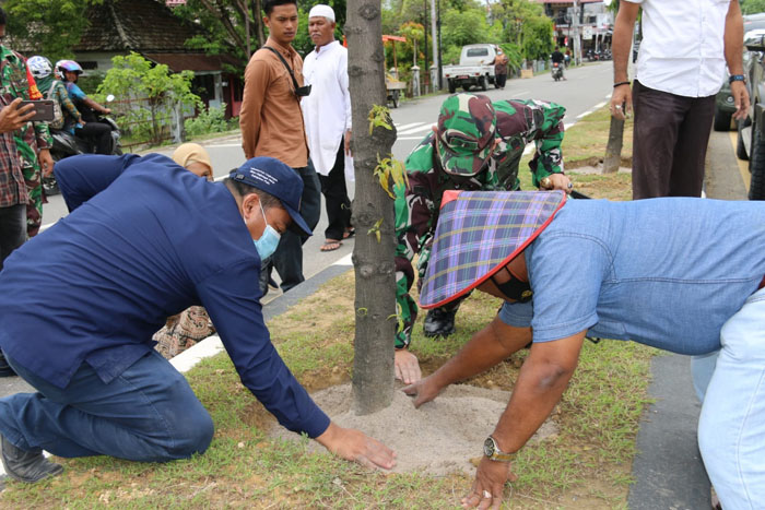 Gunakan Pupuk Alami, Abusyik Lakukan Peremajaan Tanaman dari Beureuenun hingga Kota Sigli