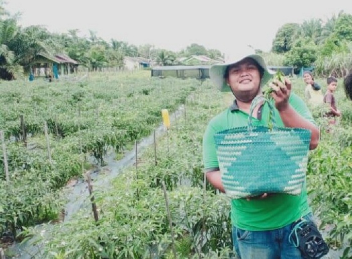 Daftar Haji Bareng Kakak dari Hasil Tanam Cabai