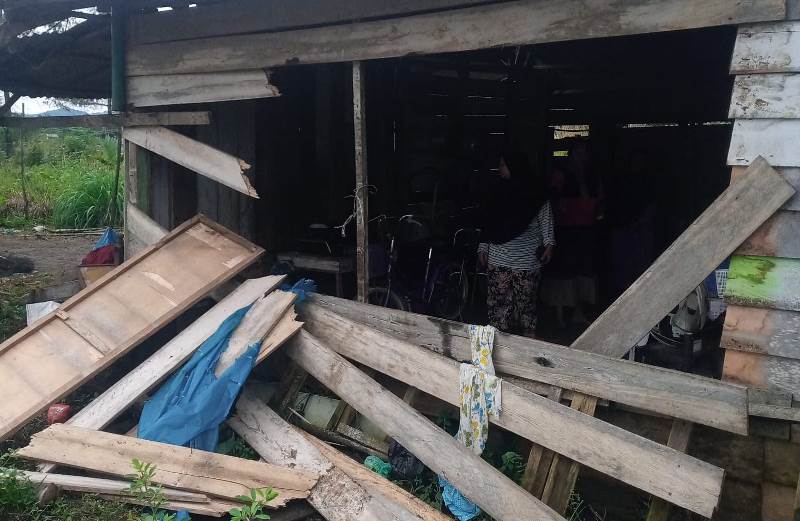 Lagi, Gajah Liar Rusak Dua Rumah dan Kebun di Bener Meriah, Warga Harap BKSDA Memindahkannya