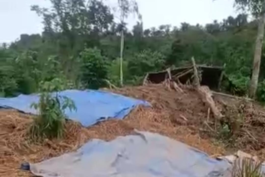 Kawanan Gajah Obrak-Abrik Kebun Warga - gajah-liar-rusak-tanaman-warga-dan-gajah-makan-padi-di-Aceh-Timur.jpg