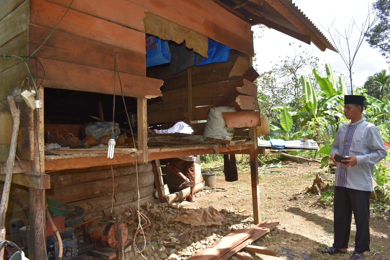 Kawanan Gajah Liar Mengamuk di Mane, Pidie, Satu Gubuk Petani Dirusak