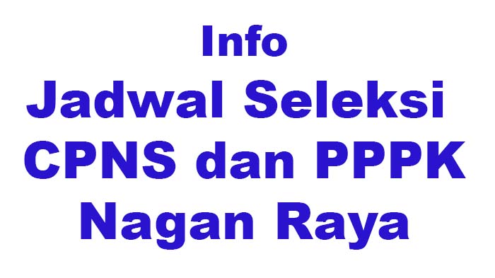 Nagan Raya Terima 702 CPNS dan PPPK, Ini Rincian Formasi Nakes dan Jadwal Seleksi CPNS 2021