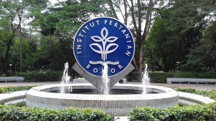 Daftar 6 Universitas di Indonesia yang Alumninya Bisa Cepat dapat Kerja, Ada Kampus Kamu?