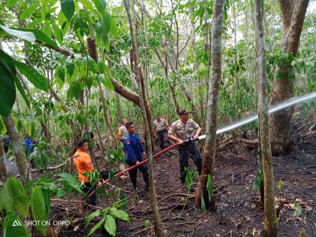 Lahan Kebun Karet Warga Langsa Timur Terbakar, Polisi Lakukan Penyelidikan
