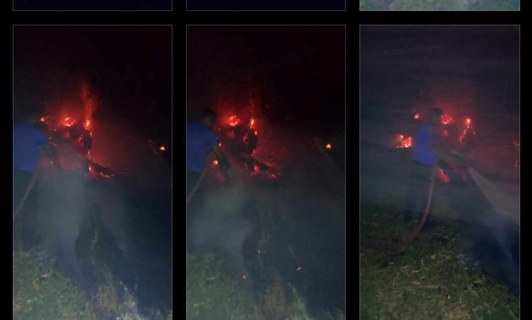 Dalam Satu Hari Terjadi Tiga Kebakaran di Pidie, Api Bakar Hutan Hingga Tumpukan Kayu