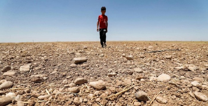 Petani Irak Bukan Hanya Menghadapi Ancaman Perang, Kekeringan Ancam Hewan, Ladang dan Kehidupan