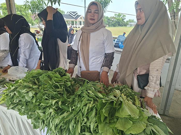 Ibu-ibu Kelompok Tani Jual Aneka Sayuran, Punjot Jangka Jajakan Sayuran dan Kuah Pliek U - Serambinews.com