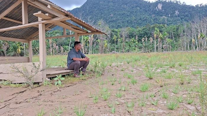 korban-banjir-dan-sawah-tertimbun-di-Aceh-Timur-2026.jpg