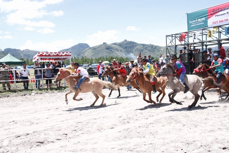 Benteng Batee Iliek Jatuh, Sultan Aceh Bawa Kuda Putih dan Kambing Putih Saat Diselamatkan ke Gayo