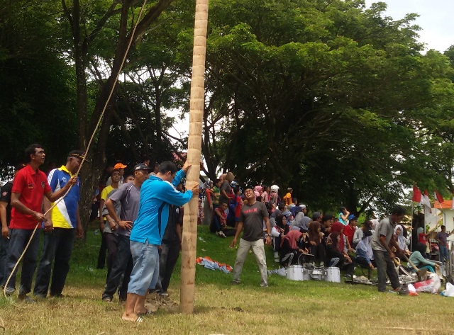 Besok Ada Panjat Pinang di Lapangan Teuku Umar Meulaboh