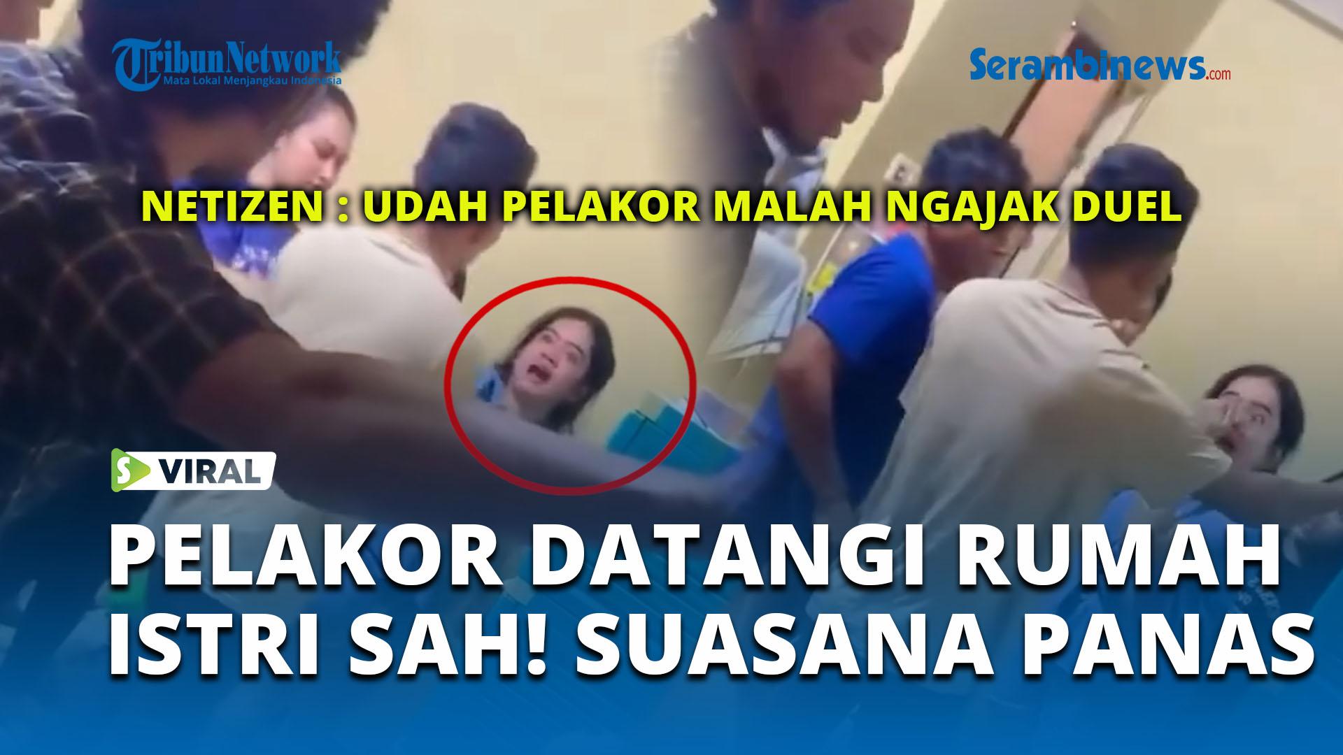 Tribun