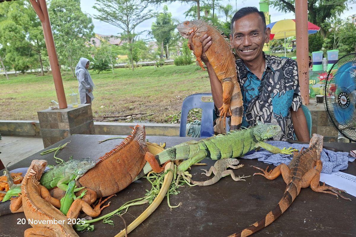 pesona-iguana-di-FLD-2025.jpg