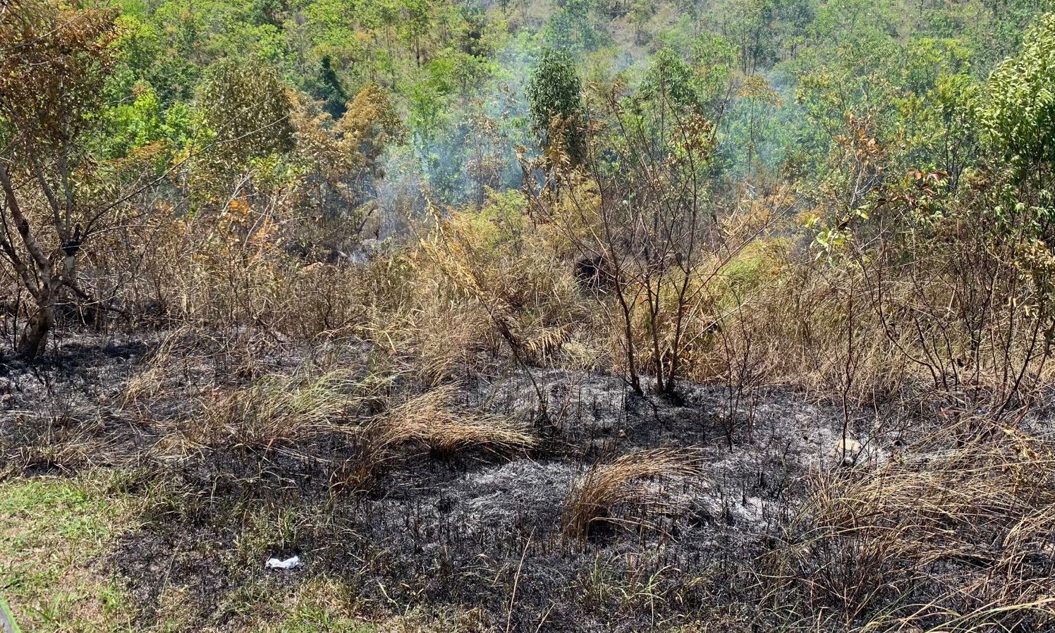 petugas-melakukan-upaya-pemadaman-terhadap-warung-dan-lahan-yang-terbakar.jpg