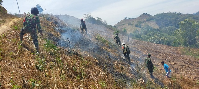 Cegah Karhutla, Dandim Agara Letkol Robbi Firdaus Bersama Personel TNI dan Warga Leuser Padamkan Api