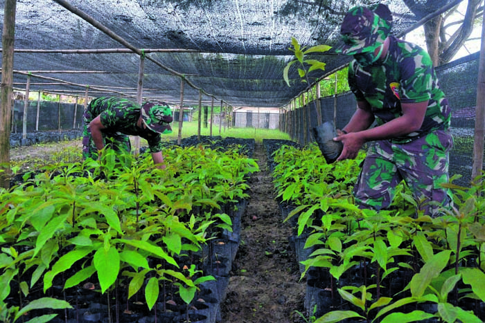 Kembangkan Ribuan Tanaman dari Durian hingga Mangga