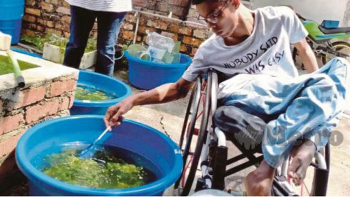 pria-penyandang-disabilitas-berhasil-bisnis-ikan-cupang-dan-kutu-air-ini-keahlian-lainnya.jpg