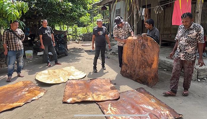 Duel Akbar Rapai Pase, 50 Rapai Legendaris Siap Guncang Arena Uroeh di Aceh Utara - Serambinews.com