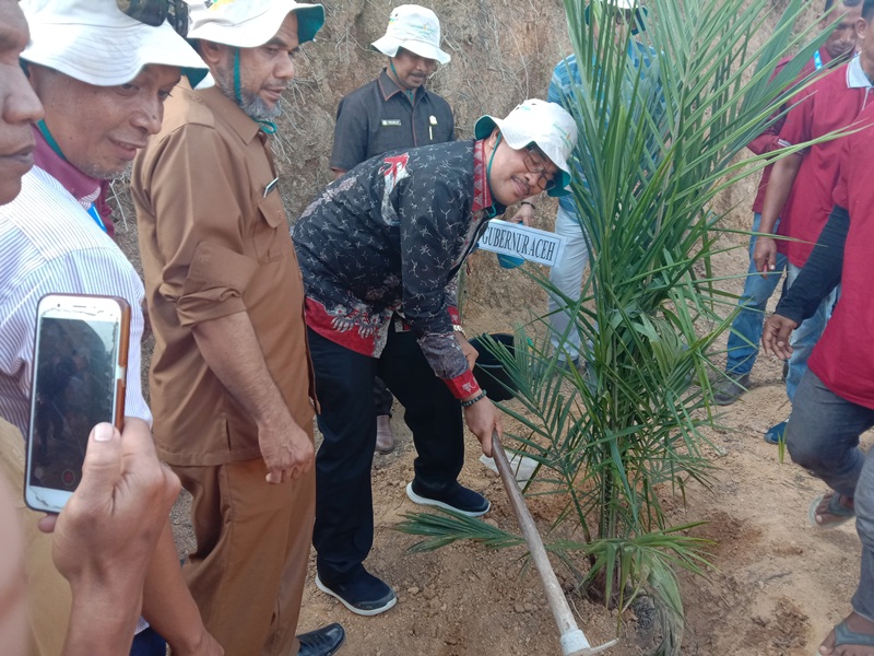 Target Replanting Sawit di Aceh 15.259 Hektare, Ini Daerah Sasaran