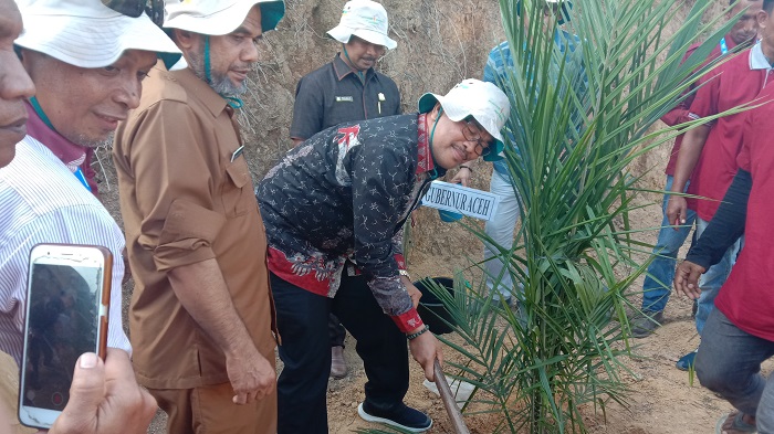 Usulkan Replanting 3 Ribu Hektare, Aceh Tamiang Gandeng Lima Koperasi