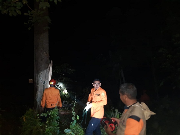 Kebetulan tak Berada di Rumah, 4 Penghuni Lolos dari Maut Tertimpa Pohon Durian, Begini Kejadiannya