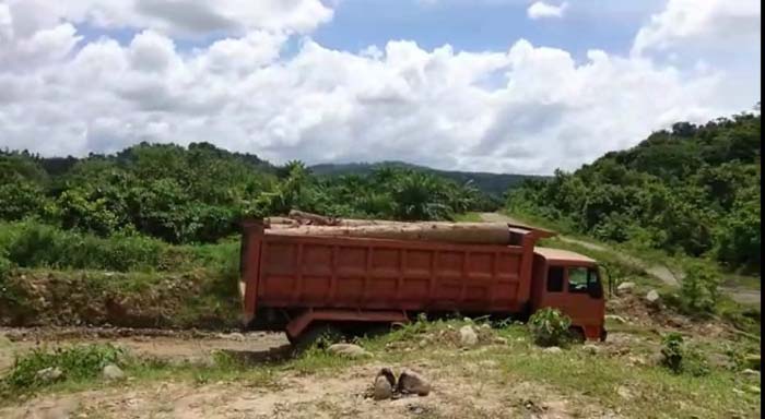 Meski Diprotes, Penebangan Hutan di Aceh Utara Terus Terjadi di Tengah Pandemi Covid-19