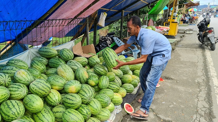 semangka-di-simeulue.jpg