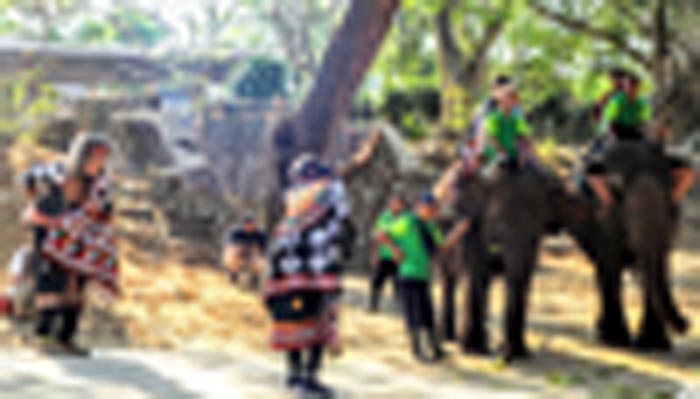 seniman-gayo-menari-bersama-gajah.jpg