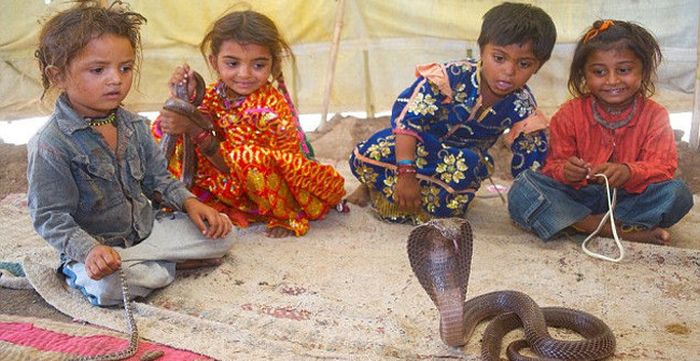 Porno qoramagiz ning mazali eshak bilan