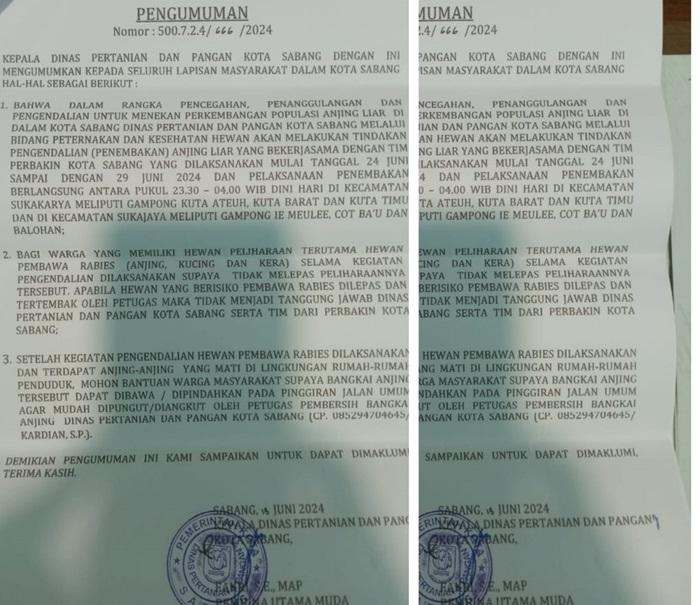 Cegah Rabies, Dinas Pertanian Sabang Gandeng Perbakin untuk Tembak Anjing Liar, Ini Jadwal & Imbauan