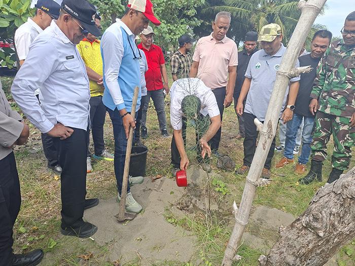 Cegah Abrasi Pantai, DLHK Tanam Pohon Cemara di Pantai Krueng Juli Timu - Serambinews.com