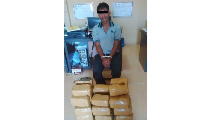 Sat Resnarkoba Polres Langsa Gagalkan Upaya Penyelundupan 52 Kg Ganja Ke Sumut