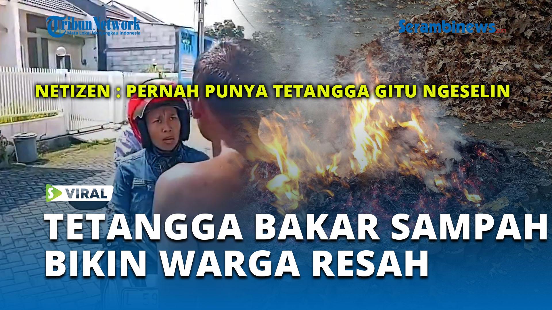 Tribun