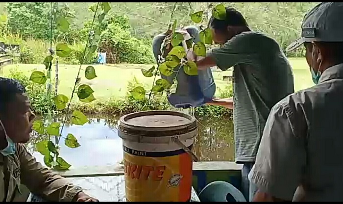 Razia PNS, Satpol PP Malah Temukan Tuak di Tempat Karaoke