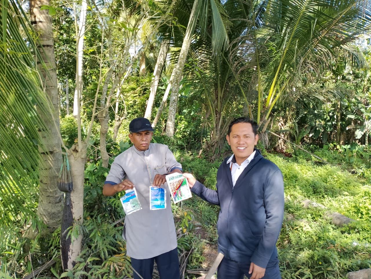 Masuki Usia Dua Minggu Tanam, Demplot Padi HIMAGRI Unimal Mulai Ada Hasil