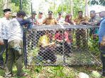 BBKSDA-Aceh-pasang-perangkap-untuk-halau-dan-memindahkan-harimau-Sumatera.jpg