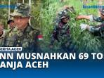 BNN-Pusat-Musnahkan-97000-Batang-Ganja-di-Teupin-Reusep-Aceh-Utara.jpg