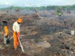 Kebakaran Lahan di Nagan Raya Berhasil Dipadamkan, BPBD Peringatkan Warga