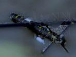 Drone-9k.jpg