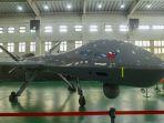 Drone-Medium-Altitude-Long-Endurance-produksi-Taiwan.jpg