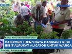 Gampong-Lueng-Bata-Bagikan-2-Ribu-Bibit-Alpukat-Aligator-untuk-Warganya.jpg