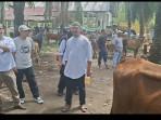 Haji-Faisal-borong-ratusan-sapi-di-Tamiang.jpg
