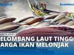 VIDEO - Harga Ikan di Sabang Melonjak Akibat Gelombang Tinggi