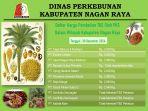 Harga-kelapa-sawit-terbaru.jpg