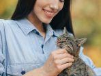 Hewan-pelihara-kucing.jpg