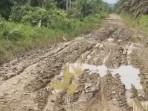 Jalan-Desa-Serimulya-Kecamatan-Peunaron-Aceh-Timur-mengalami-kerusakan-parah_2025.jpg