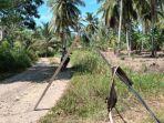Kabel-listrik-dari-salah-satu-tiang-tumbang-di-Gampong-Simpang-Jaya-Juli-Bireuen.jpg