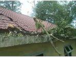 Kantor-PWI-Abes-tertimpa-pohon-tumbang.jpg