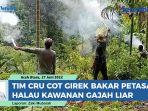 Kawanan-Gajah-Liar-Rusak-Kebun-Warga-di-Aceh-Utara-Petugas-CRU-Cot-Girek-Halau-Pakai-Petasan.jpg